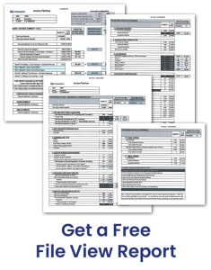 Get a Free File View Report
